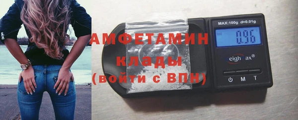 индика Лабытнанги