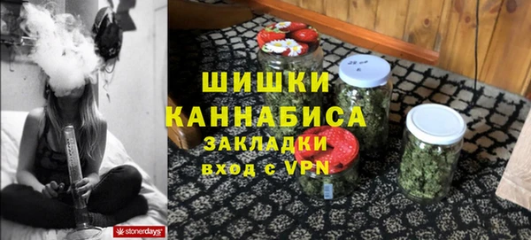 индика Лабытнанги