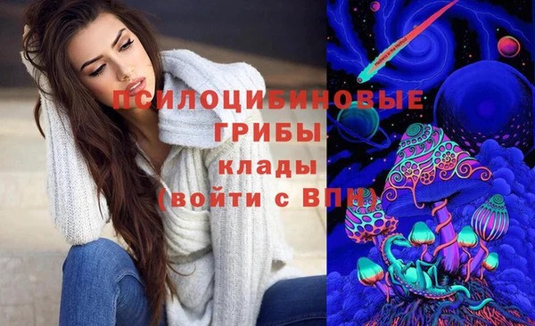 индика Лабытнанги