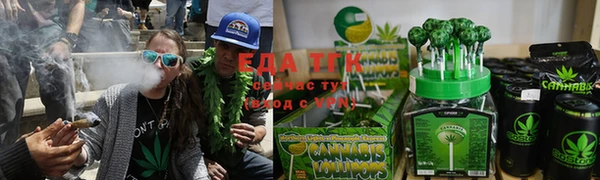 индика Лабытнанги