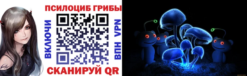 Псилоцибиновые грибы Psilocybine cubensis Артём