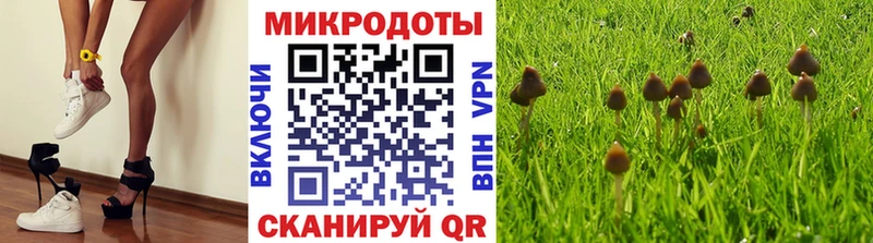 Псилоцибиновые грибы Magic Shrooms  кракен онион  Артём 